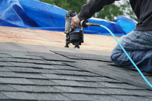 Best Chimney Flashing Repair  in Mathis, TX